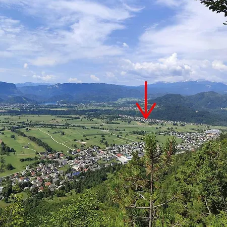 Apartma Neja 公寓 Zirovnica